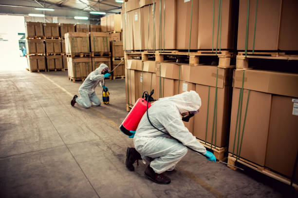 Best Pest Control Near Me  in Whitewater, CA